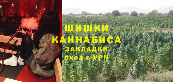 трава Балахна