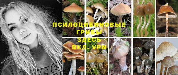 трава Баксан