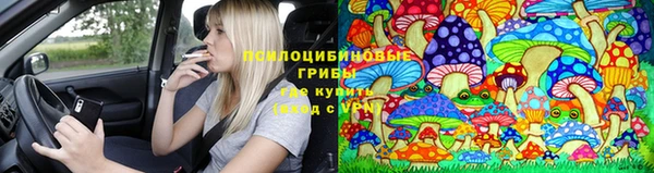 стаф Арсеньев